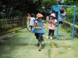 img0050.jpg