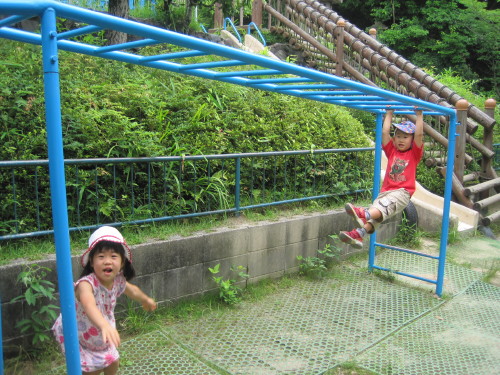 img0017.jpg