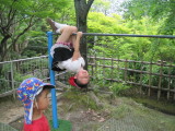 img0018.jpg