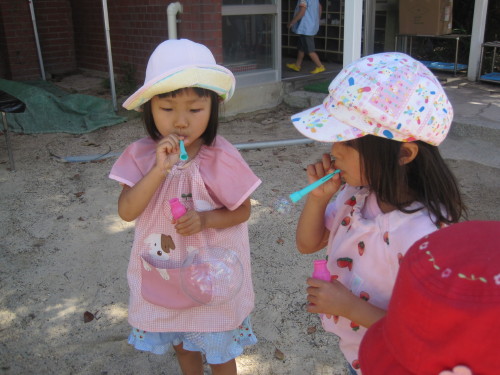 img0003.jpg
