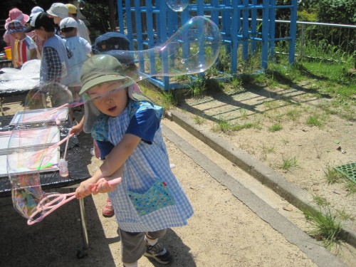 img0016.jpg