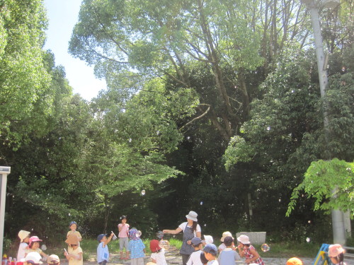 img0017.jpg
