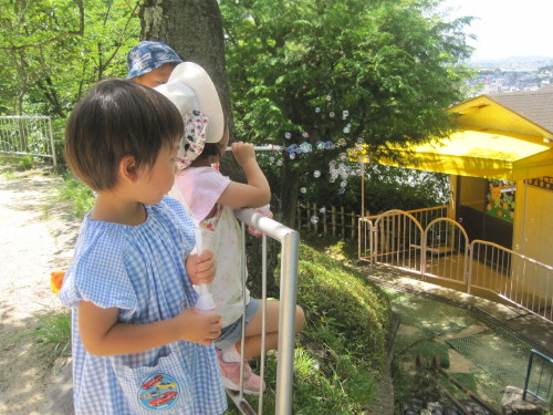 img0033.jpg