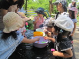 img0004.jpg