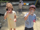 img0009.jpg