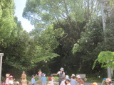 img0017.jpg