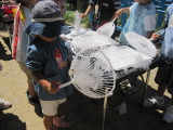 img0019.jpg