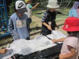 img0027.jpg