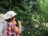 img0029.jpg