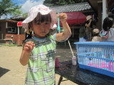 img0031.jpg