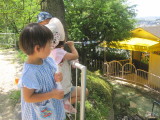 img0033.jpg