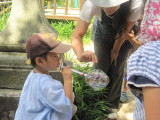 img0035.jpg