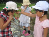 img0036.jpg