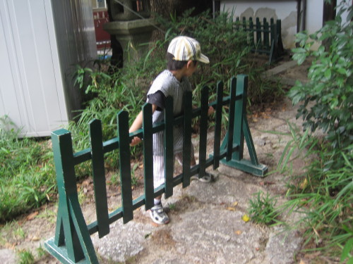 img0029.jpg