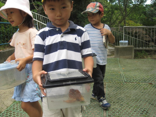 img0026.jpg