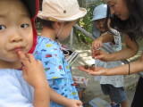 img0005.jpg