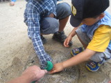 img0010.jpg