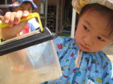 img0017.jpg