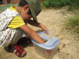 img0018.jpg