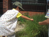 img0019.jpg