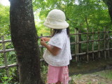 img0027.jpg