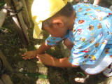 img0028.jpg