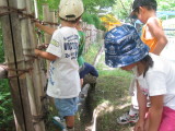 img0029.jpg
