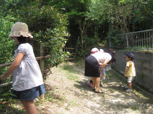 img0009.jpg