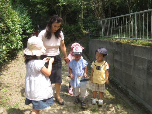 img0010.jpg