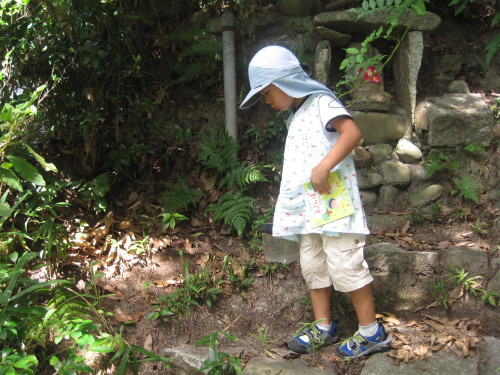 img0020.jpg