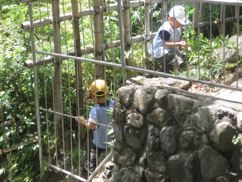 img0022.jpg
