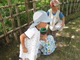 img0002.jpg