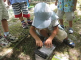 img0003.jpg