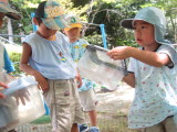 img0004.jpg