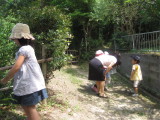 img0009.jpg