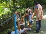 img0017.jpg