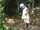 img0020.jpg