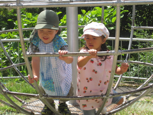 img0026.jpg