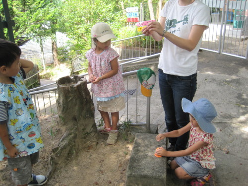 img0043.jpg