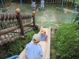img0010.jpg