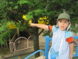img0011.jpg