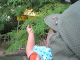 img0012.jpg