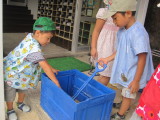 img0017.jpg