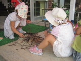 img0019.jpg