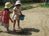 img0020.jpg