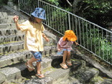 img0029.jpg