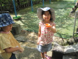 img0030.jpg