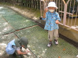img0033.jpg