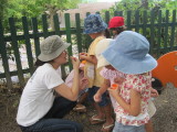 img0034.jpg