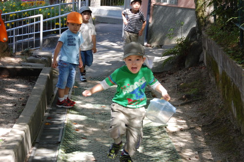 img0009.jpg